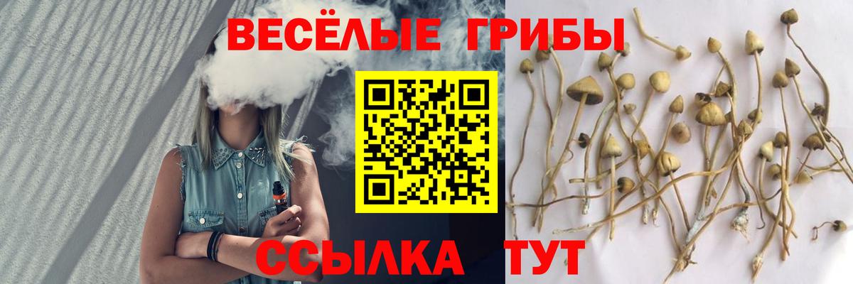 магазин  наркотиков  Галлюциногенные грибы Magic Shrooms  Вход с VPN  Асино 